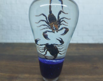 Underwater REAL 2 Fighting Scorpio Scorpion  Gear Shift Shifter Knob Acrylic Resin_c131