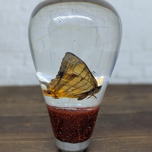 May include: A clear glass paperweight with a butterfly encased inside. The butterfly has brown and yellow wings. The base of the paperweight is a silver color with a red glitter section. The paperweight is on a wooden surface.