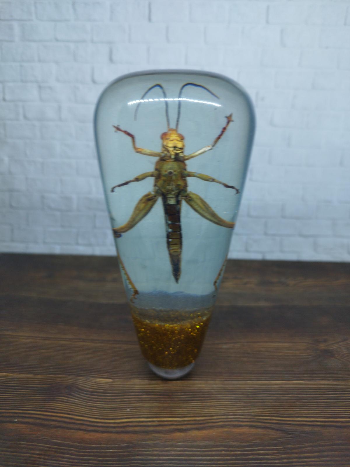 Shifter Insect Underwater REAL Insect Grasshopper Gear Shift Shifter Knob From Acrilyc ...