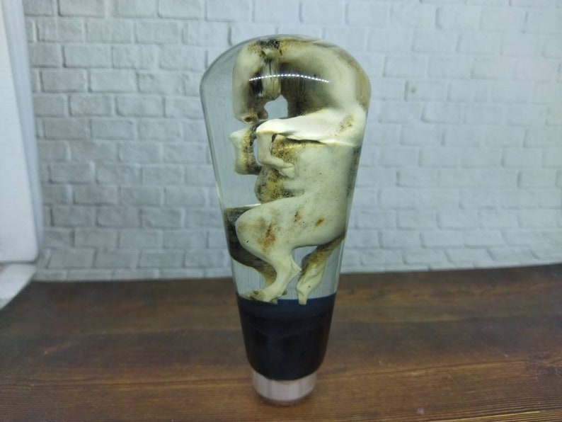 Underwater Horse Sculpture Gear Shift Shifter Knob Deer Antler Etsy