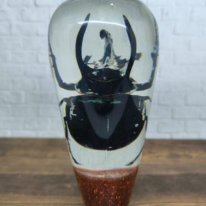 Op de afbeelding: Een doorzichtig papieren gewicht van hars met een zwarte kever met grote hoorns erin. De kever is gepositioneerd met zijn rug naar de kijker. De basis van het papieren gewicht is bedekt met rode glitter.