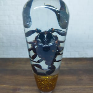 May include: A clear glass bottle stopper with a black scorpion encased in resin. The bottom of the bottle stopper is covered in gold glitter.