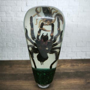 Op de afbeelding: Een transparante glazen versnellingspookknop met een zwarte vogelspin en een bruine schorpioen erin. De onderkant van de knop is gevuld met groene glitter.