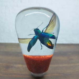 Växelspaksknopp med växelspak, insekt och skalbagge, från Acrilyc Resin_N22