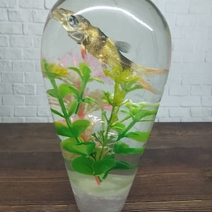 Underwater REAL Botia Tiger Fish with  Flower Gear Shift Knob Acrylic Resin_a78 (Thread 12x1,25)