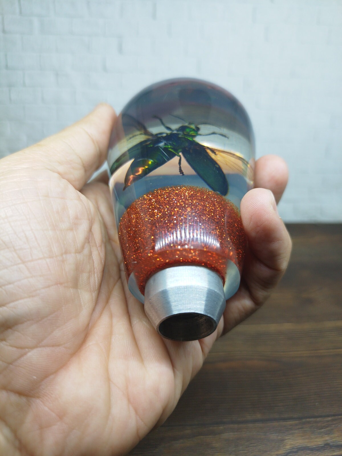 Shifter Insect Underwater REAL Insect Flying Beetle Gear Shift Shifter Knob From ...