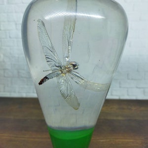 Op de afbeelding: Een transparante glazen brievengewicht met een libellen erin. De brievengewicht heeft een groene basis.