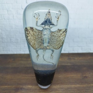 Pode incluir: Um lagarto voador preservado, também conhecido como Draco, envolto em resina transparente. O lagarto está suspenso em um bloco de resina transparente em forma de lágrima com uma base preta.