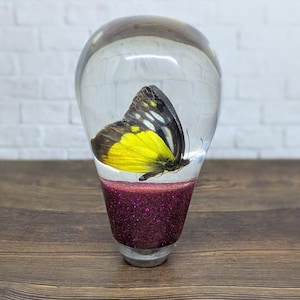 May include: A clear glass paperweight with a butterfly encased inside. The butterfly has yellow and black wings. The base of the paperweight is a deep purple glitter. The paperweight is sitting on a wooden surface.