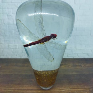 Op de afbeelding: Een doorzichtige glazen flesstopper met een rode libel die erin is ingesloten. De onderkant van de flesstopper is gevuld met gouden glitter.