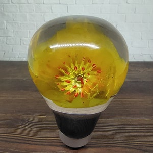 May include: A clear glass paperweight with a yellow and red flower inside. The flower has a red center and yellow petals.
