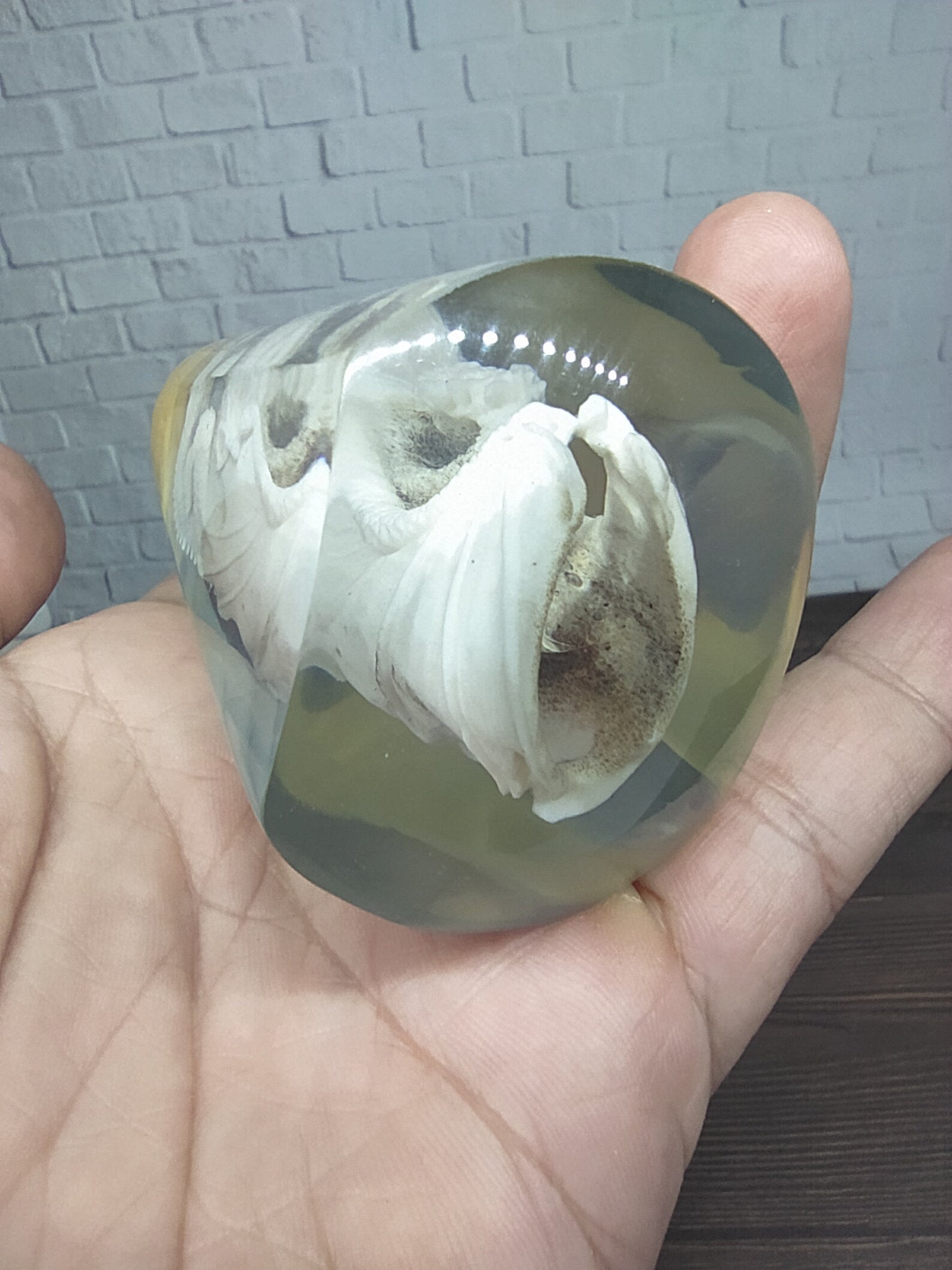 Underwater Dragon Sculpture Gear Shifter Knob Deer Antler Etsy