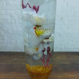 Underwater White Cherry Blossom Flower Gear Shift Knob Acrylic Resin_a318