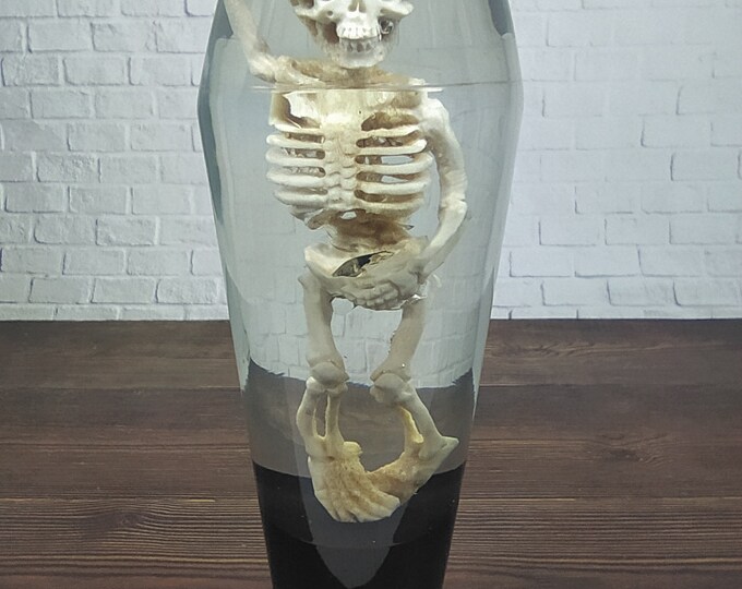 Underwater Human Skeleton Gear Shifter Knob Deer Antler Etsy