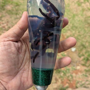 Pomo de palanca de cambios de araña tarántula REAL submarina de resina acrílica con base verde_v56
