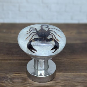Op de afbeelding: Decoratieve kastknop met een zwarte schorpioen ingekapseld in heldere hars. De knop heeft een zilverkleurige metalen basis en een ronde vorm. De schorpioen is zichtbaar in de hars.