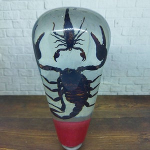 Puede incluir: Un pisapapeles de vidrio transparente con un escorpión negro en su interior. El pisapapeles tiene una base roja.