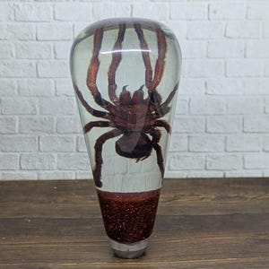 Könnte beinhalten: Ein klarer, tropfenförmiger Gegenstand aus Kunstharz umschließt eine große, braune Spinne. Der Boden des Objekts ist mit glitzerndem, rotbraunem Glitzer gefüllt. Die Beine der Spinne sind sichtbar. Das Objekt steht auf einer Holzoberfläche.