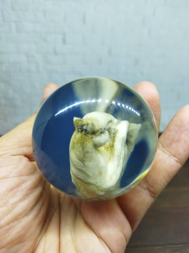 Underwater Horse Sculpture Gear Shift Shifter Knob Deer Antler Etsy