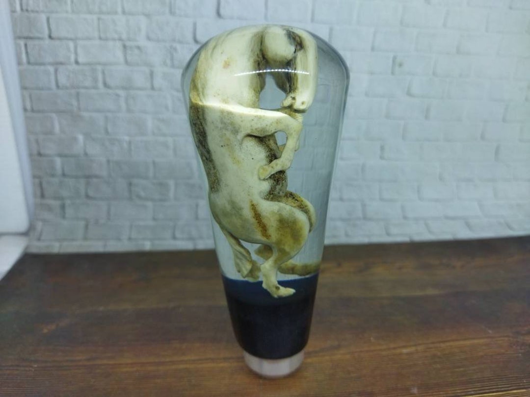 Underwater Horse Sculpture Gear Shift Shifter Knob Deer Antler Acrilyc