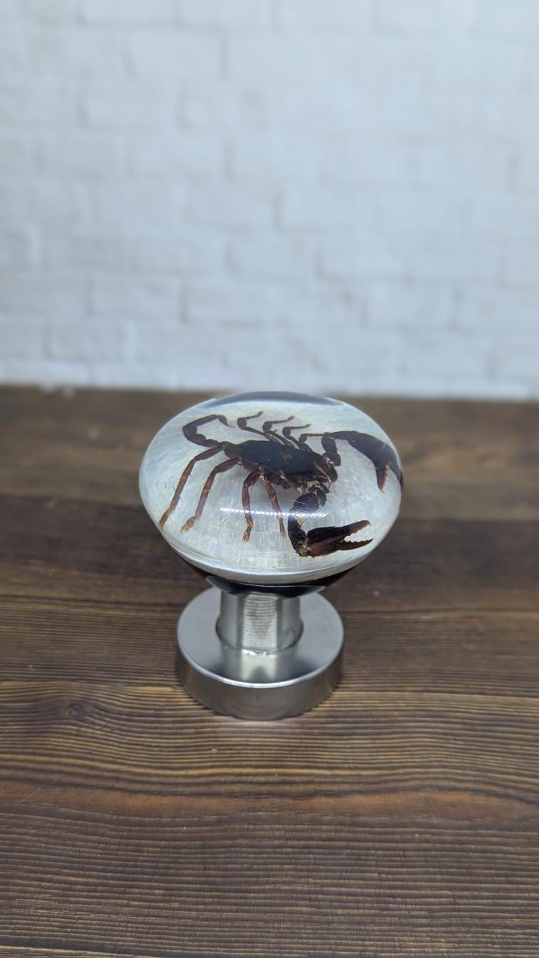 Underwater REAL Scorpio Scorpion DOOR Knob From Acrilyc Resin_v50
