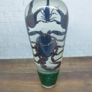 Underwater REAL Scorpio Scorpion Gear Shift Shifter Knob Acrylic Resin_c110