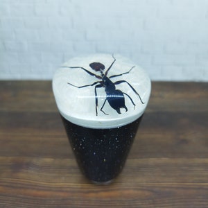 May include: A black and brown ant encased in clear resin atop a black and white glittery gear shift knob.