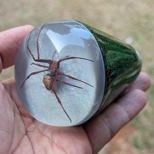 May include: A cylindrical gear shift knob made of clear resin containing a preserved brown spider. The base of the knob features a dark green glitter finish. The object is smooth and rounded at the top, showcasing the spider in detail.