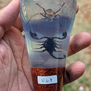 Può includere: Un pomello del cambio in resina trasparente a forma di lampadina contenente un ragno e uno scorpione nero conservati. La base presenta una fascia di glitter arancioni e un'etichetta rettangolare bianca con il testo nero V67 su un raccordo.