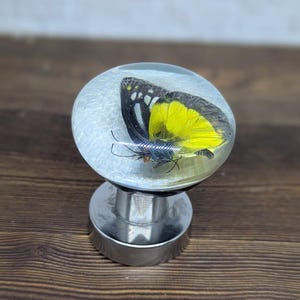 Op de afbeelding: Een decoratieve flesstopper met een vlinder ingekapseld in heldere hars. De vlinder heeft gele en zwarte vleugels. De stopper heeft een zilverkleurige metalen basis en steel. Het product wordt gepresenteerd op een houten oppervlak.