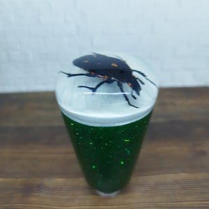 Underwater REAL Beetle Bug  Gear Shift Shifter Knob from Acrilyc Resin_c127