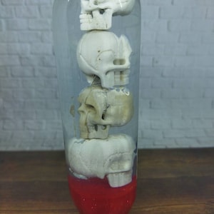 May include: Four white human skulls are stacked inside a clear glass tube with a red base. The skulls are arranged vertically, with the largest skull at the bottom and the smallest skull at the top.
