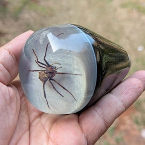 May include: A clear, rounded resin gear shift knob containing a preserved brown spider with long legs. The object features a smooth, polished surface and a dark, tapered base, showcasing the arachnid specimen clearly within the transparent material.