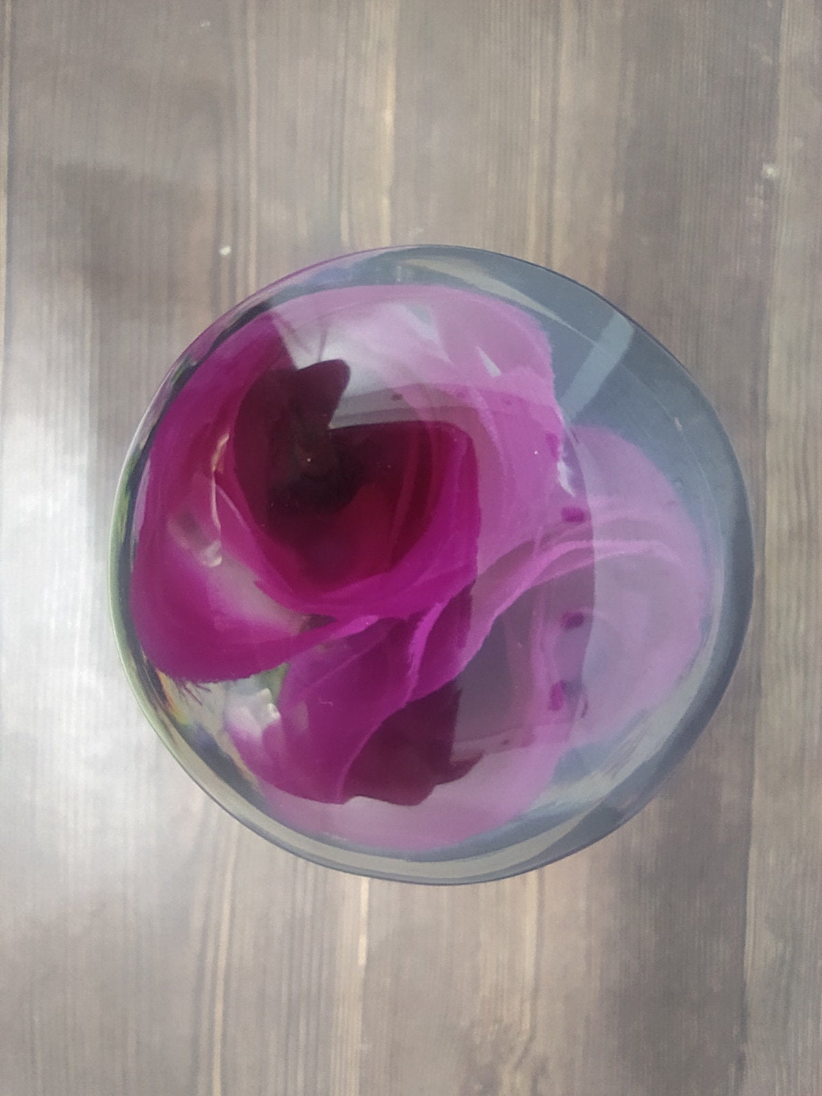 Underwater Purple Rose Flower Gear Shift Shifter Knob Acrylic Etsy