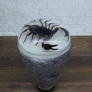 Könnte beinhalten: Dekoratives, tropfenförmiges Objekt mit einem schwarzen Skorpion, der in klarem Harz eingeschlossen ist. Der Sockel ist mit silbernem Glitzer bedeckt. Der Skorpion ist detailliert mit sichtbaren Beinen, Zangen und einem Schwanz.