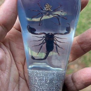 Pomo de palanca de cambios de resina acrílica con diseño de escorpión luchando contra araña, modelo REAL 2, bajo el agua_v79