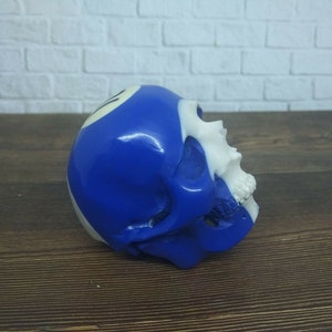Puede incluir: Una escultura de calavera azul y blanca con un diseño de bola de billar. La calavera está pintada de azul con una franja blanca alrededor de la parte superior y una cara blanca.