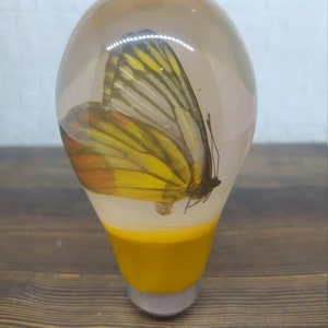 May include: A clear glass sphere with a yellow butterfly encased inside. The sphere has a yellow base.