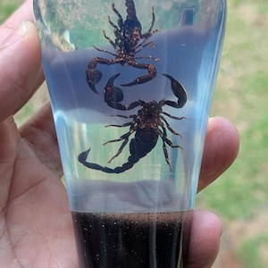 Unterwasser REAL 2 Kampf Scorpio Scorpion Gangschaltknauf Acrylharz_v76