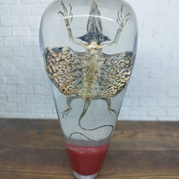 Dragon Shift Knob Etsy