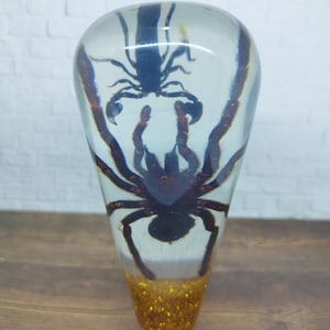 Op de afbeelding: Een heldere glazen bol met een zwarte schorpioen en een zwarte spin erin. De bol ligt op een houten oppervlak met gouden glitter aan de onderkant.