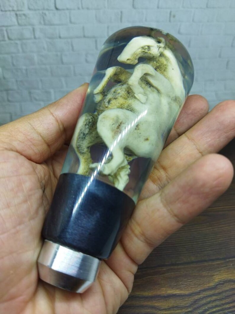 Underwater Horse Sculpture Gear Shift Shifter Knob Deer Antler Etsy