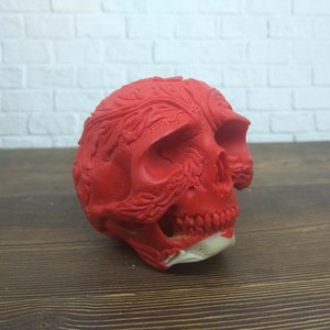 Peut inclure: Une sculpture de crâne rouge avec des sculptures florales complexes. Le crâne est fait d'un matériau lisse et poli et présente un design détaillé.