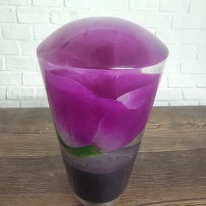 Könnte beinhalten: Eine klare Glasvase mit einer einzelnen lila Rose darin. Die Vase ist kegelförmig mit abgerundeter Oberseite.