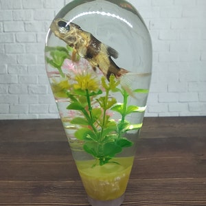 Könnte beinhalten: Ein durchsichtiger Glas-Briefbeschwerer mit einem kleinen Fisch und grünen und rosa Plastikblumen.