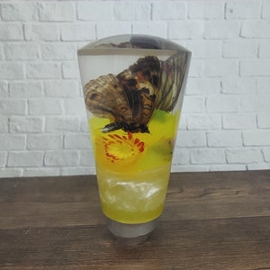 Könnte beinhalten: Ein transparenter Glas-Schalthebelknauf mit einem Schmetterling und gelben Blumen im Inneren.