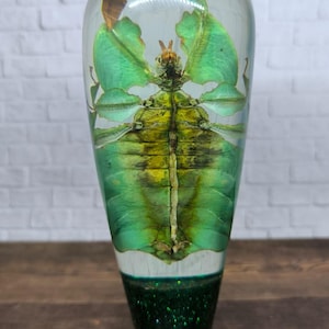 May include: A green leaf insect encased in clear resin with green glitter at the bottom. The insect is preserved in a clear, teardrop-shaped resin paperweight.