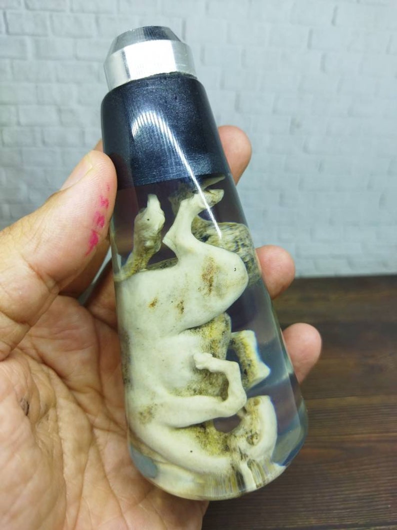 Underwater Horse Sculpture Gear Shift Shifter Knob Deer Antler Etsy