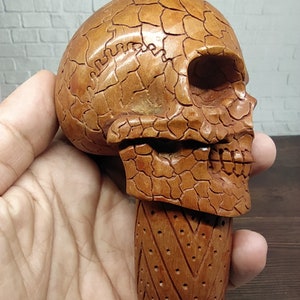 Peut inclure: Une poignée de canne en bois en forme de crâne avec une texture craquelée détaillée et une base à motifs.