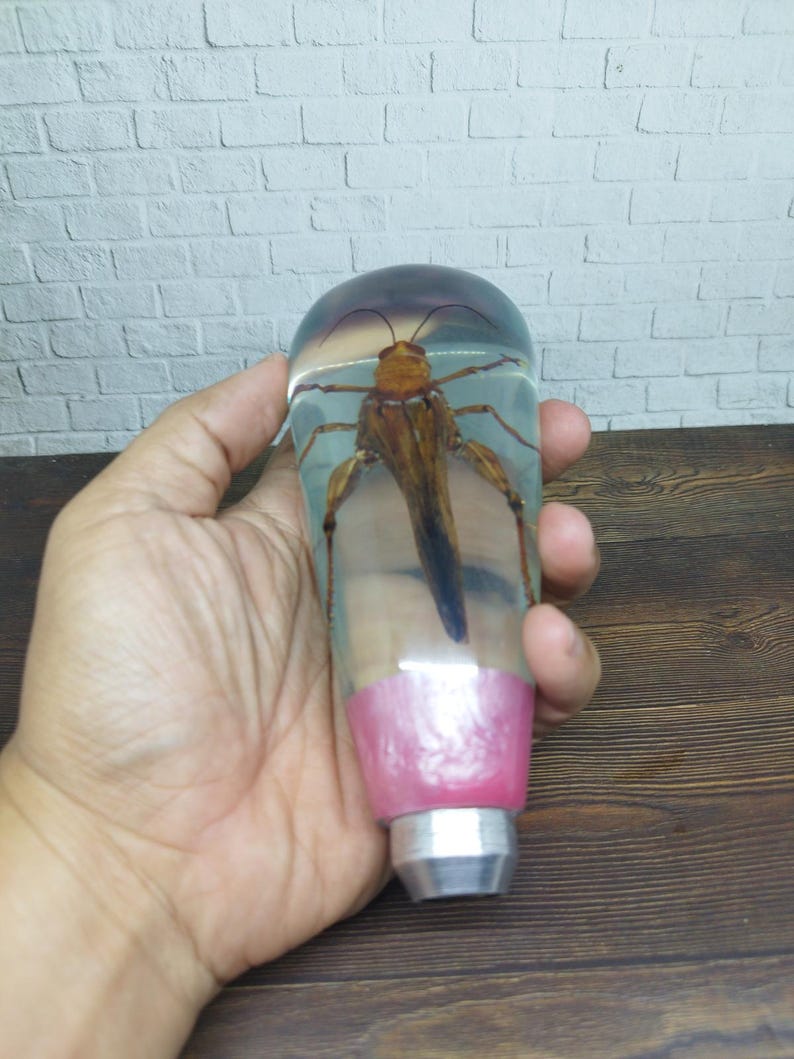 Shifter Insect Underwater REAL Insect Grasshopper Gear Shift Shifter Knob From Acrilyc ...